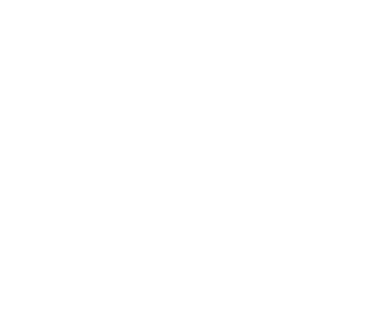 The Conscious Music Project